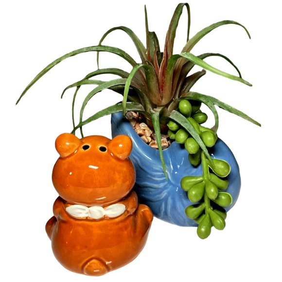 Vtg 1950's Set of (3) Honey Bear Salt & Pepper Shakers & Toothpick Holder - Picture 4 of 9